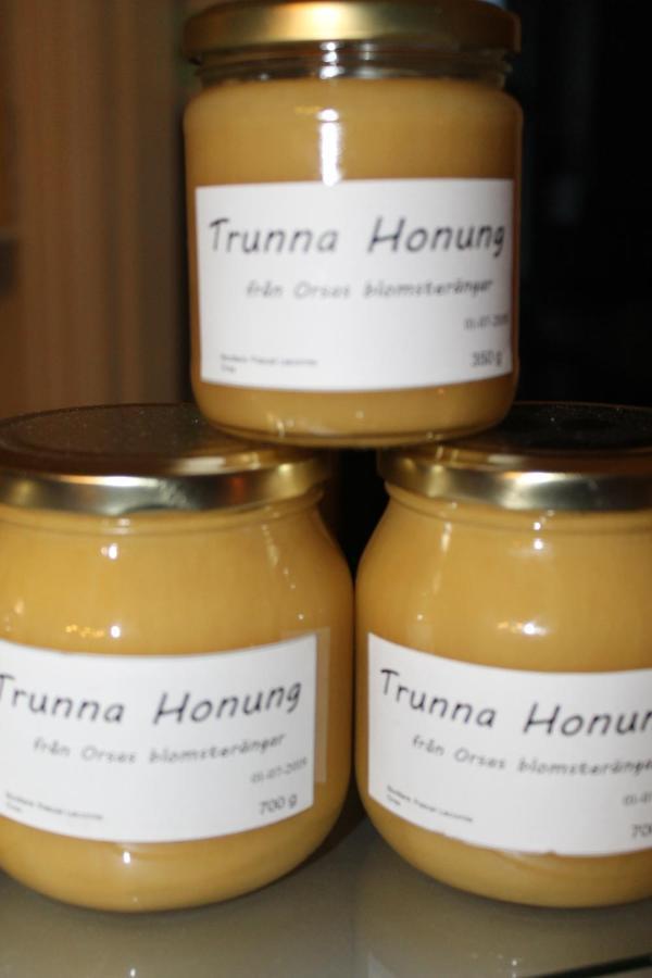 Trunna Vandrarhem & Konferens Orsa Esterno foto