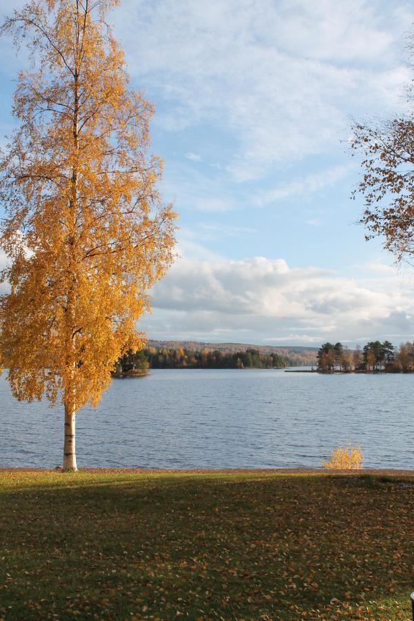 Trunna Vandrarhem & Konferens Orsa Esterno foto